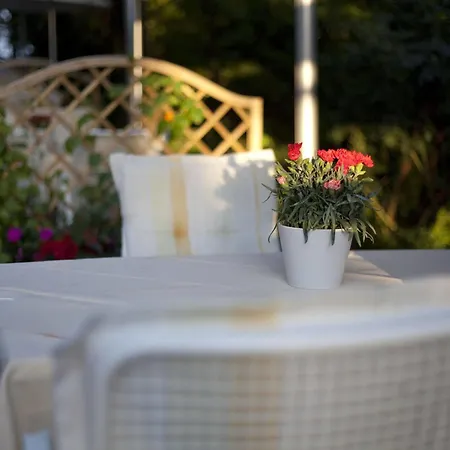 Goldene Lamm Hotel 4*