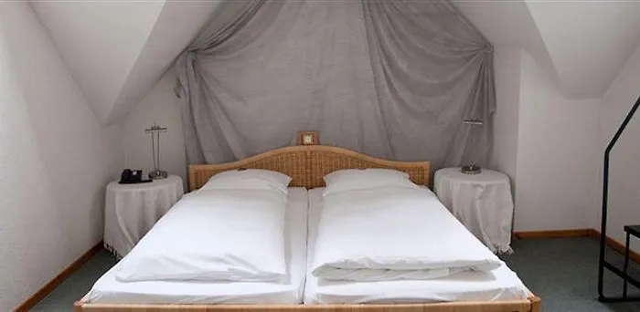 Hotel Goldene Lamm 4*